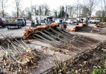 Bomen van de groepsaankoop liggen klaar voor afhaling