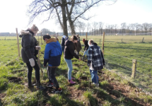 Een beeld van een eerdere plantactie