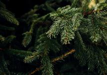 Detailfoto van een kerstboom