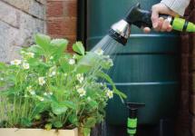 Plantjes worden besproeid met water uit de regenton