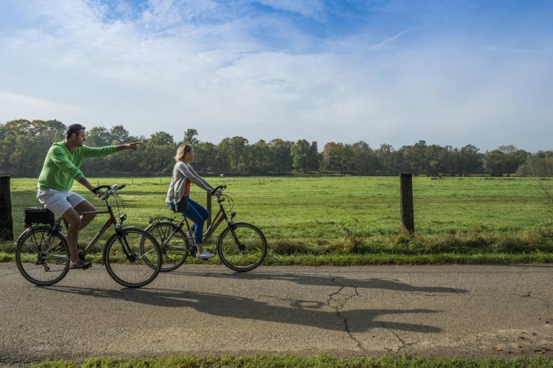 De Weilandroute loodst je door het Kempische platteland.