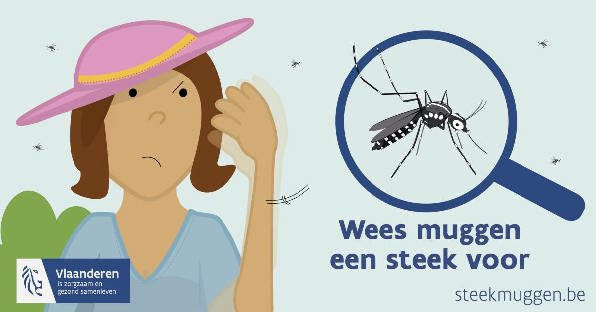 tekening van een tijgermug met de tekst 'Zie je een tijgermug? Meld het'