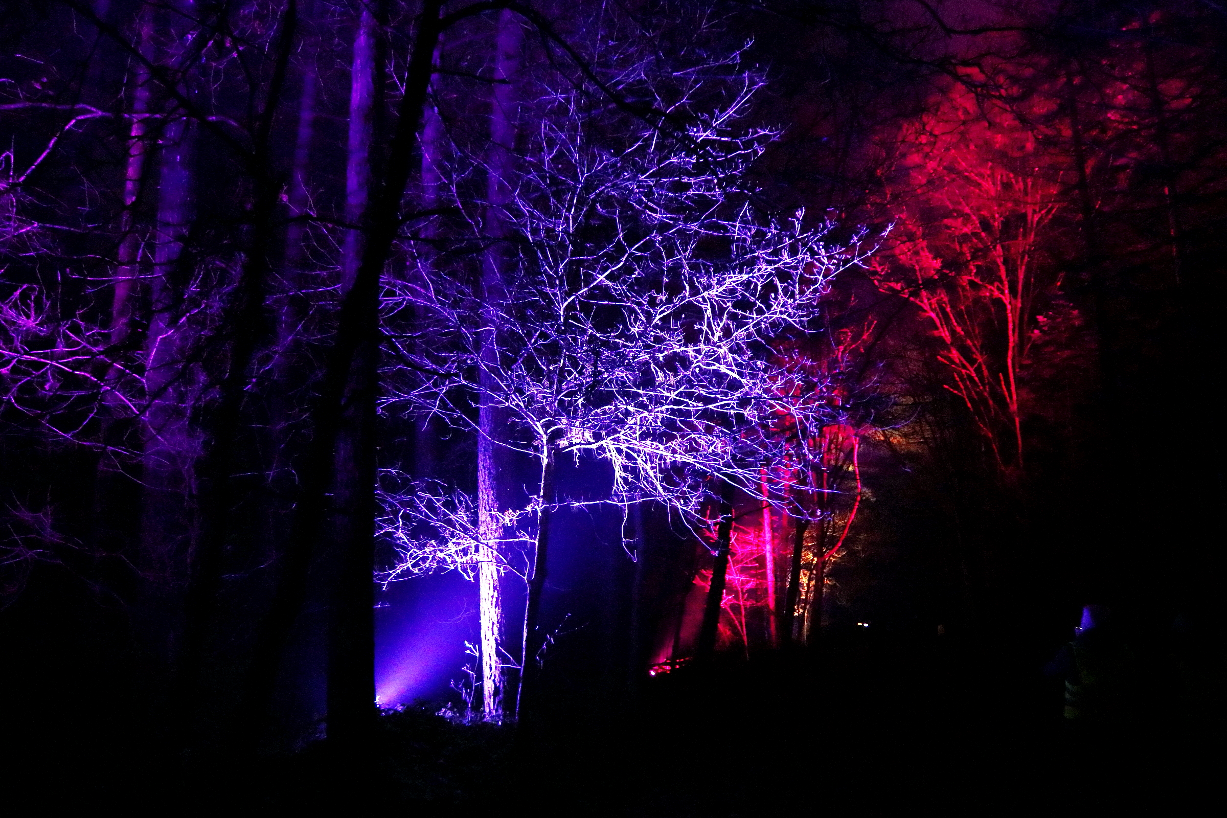 Kerstwandeling