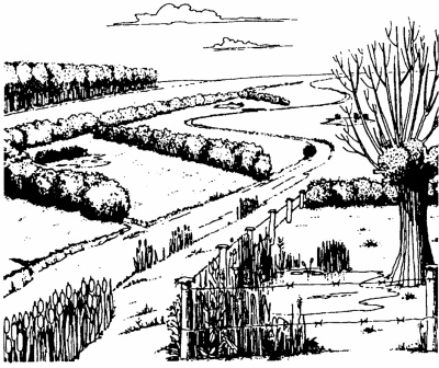 kleine landschapselementen geven structuur aan de open ruimte