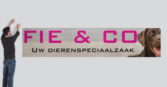 Fie & Co