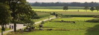 Open ruimte in Wuustwezel