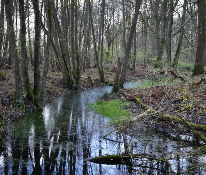 Op ontdekking in Het Marum. © Dominique VAN HUFFEL