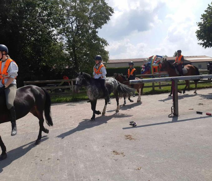 Ponykamp met overnachting © W-Stables vzw