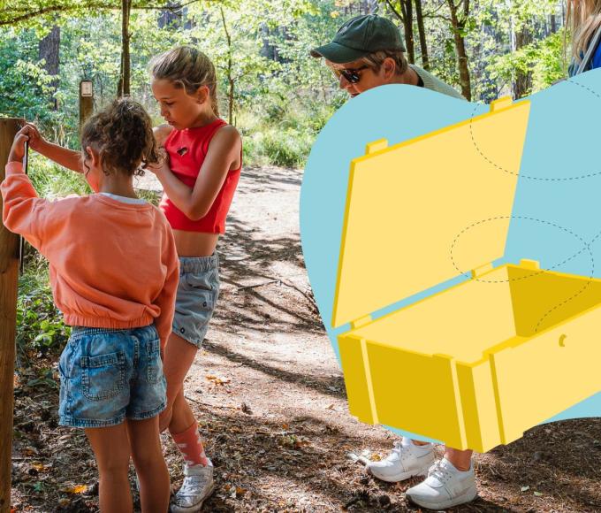 Schatten van Vlieg in het Uilebos © Lokaal bestuur Wuustwezel