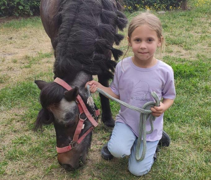 Ponykamp zonder overnachting © W-Stables vzw