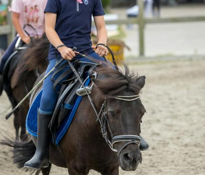 Pony en paardrijlessen voor starters en gevorderden © W-Stables vzw