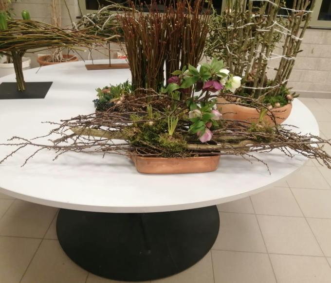 Bloemenclub Wuustwezel © Bloemenclub Wuustwezel
