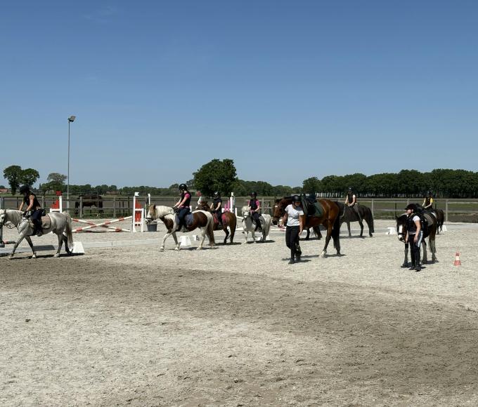 Ponydag 12+ © W-Stables vzw