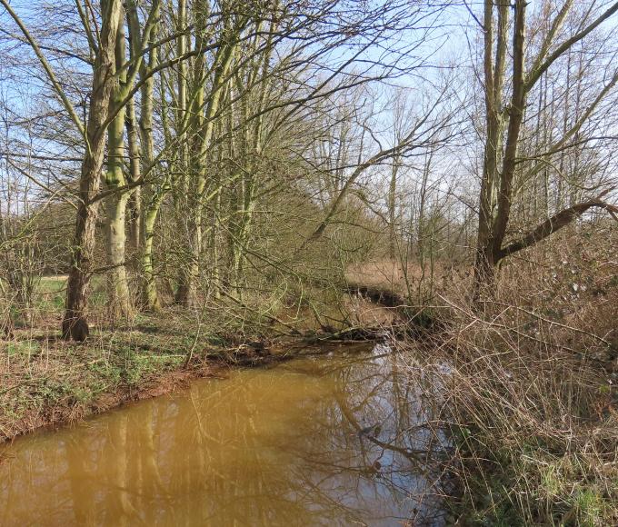 Het Marum - Wandelen in het land van de beek © Natuurpunt Noorderkempen