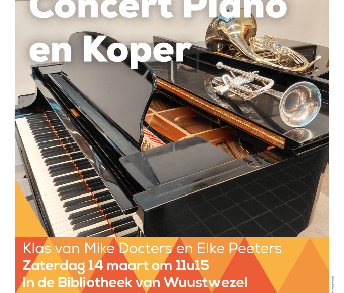 Muziek in de bib - Wuustwezel © Gemeentelijke Academie