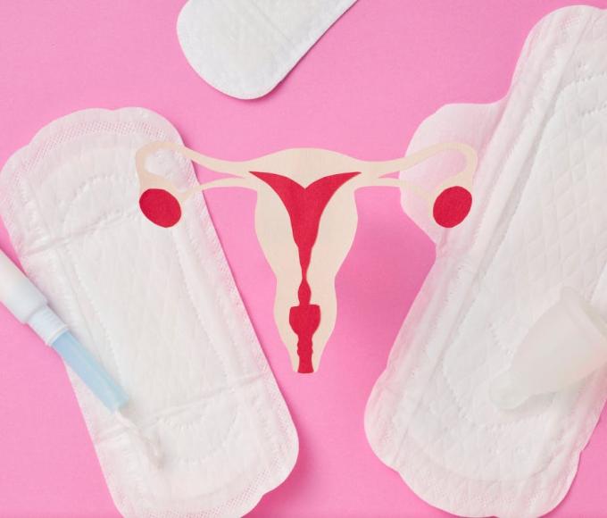 De Cyclusshow © Gemeente Wuustwezel