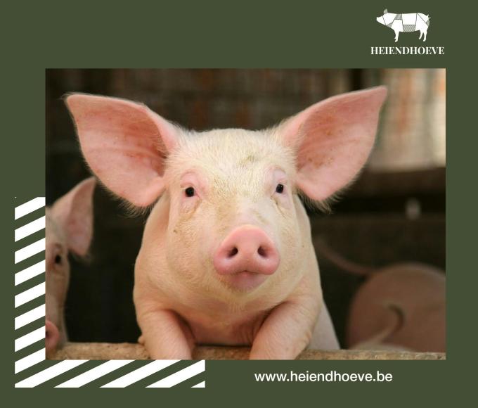 Bedrijfsbezoek Heiendhoeve © Gemeente Wuustwezel