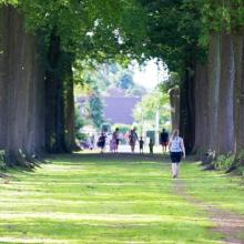 wandelen in Gooreind