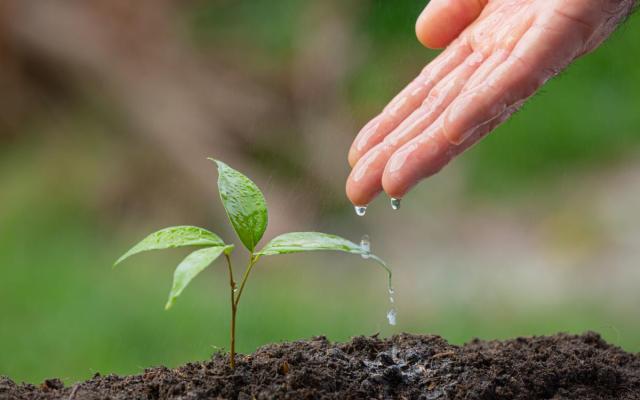 close up van een hand die een jong plantje in de grond water geeft