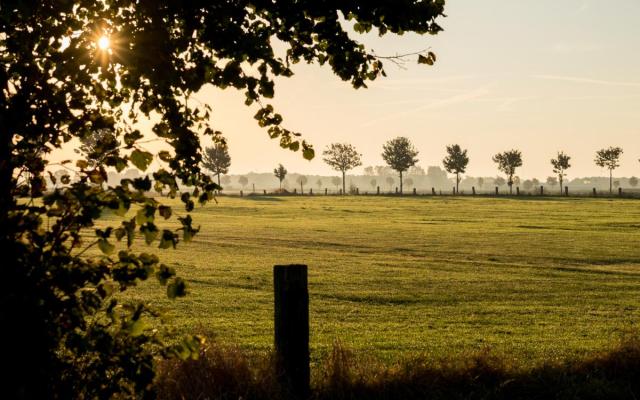 Wuustwezel in de herfst, foto van Wezelopdefoto