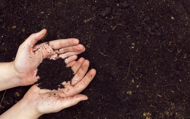 twee handen gevuld met compost