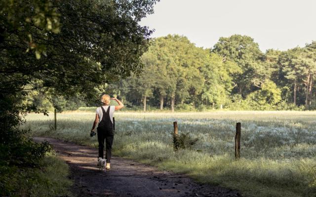 een vrouw wandelt door het Wuustwezelse landschap