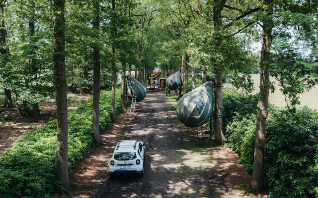 De bijzondere pittenten van Dré Wapenaar hangen in de bomen in domein Franciscanessen