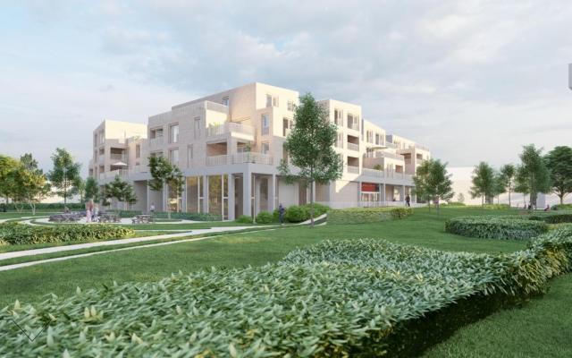 Toekomstbeeld van de site Delhaize - Hofman met parkgebied - LV Architecten