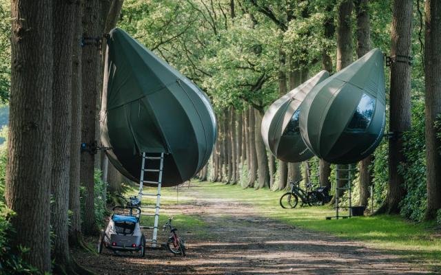boompittenten in domein Franciscanessen
