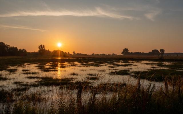 De Maatjes bij ondergaande zon - foto: Wezelopdefoto