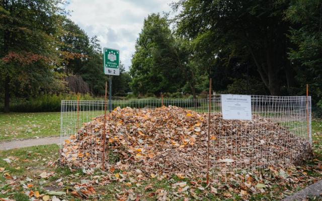 een bladkorf voor de helft gevuld met bladeren aan het Wuustwezelse gemeentepark
