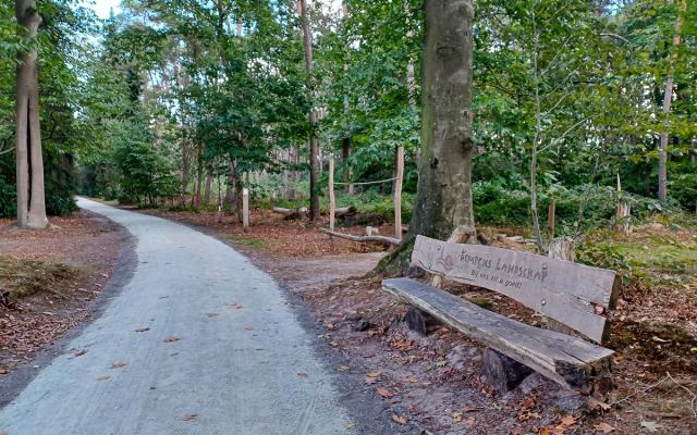 Rolstoelvriendelijk wandelpad in Domein Franciscanessen - foto: Stichting Kempens Landschap