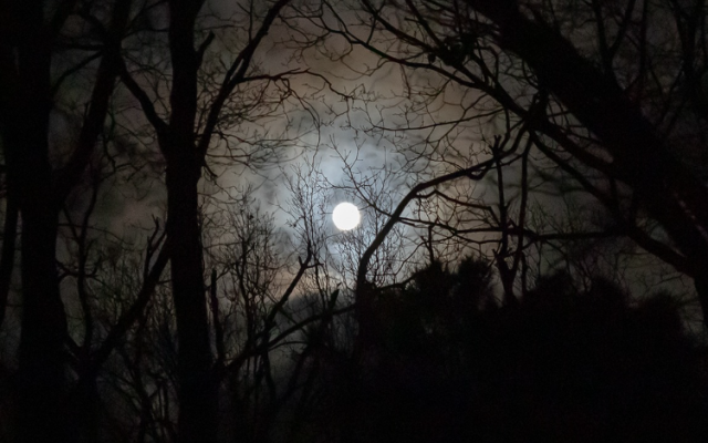 Smokkelaarswandeling © lokaal bestuur