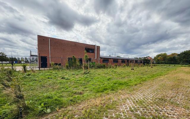 nieuwe locatie van de hondenlosloopzone in Loenhout, bij de gebouwen van Chiro