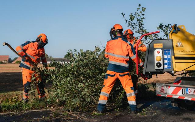 drie medewerkers van de Wuustwezelse groendienst onderhouden grachten langs een weg in Loenhout 