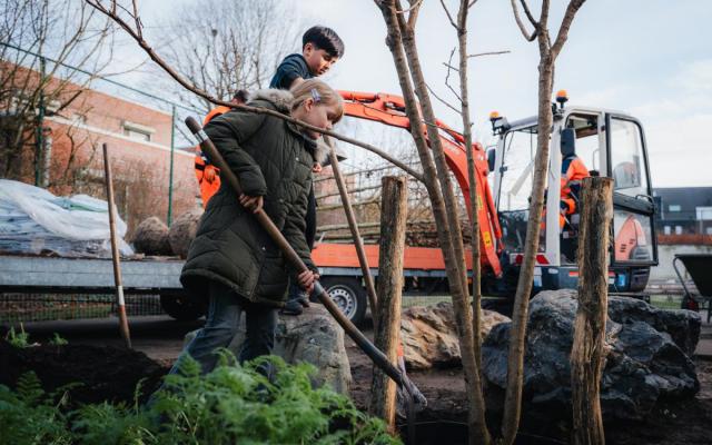 leerlingen van gemeenteschool Klim Op in Gooreind helpen de groendienst van Wuustwezel met de aanplant van bomen op hun speelplaats