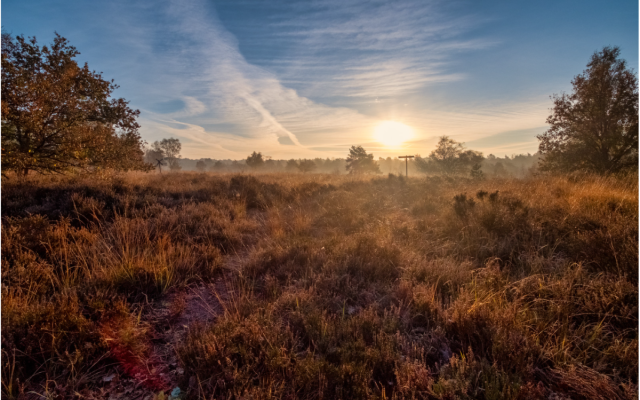 Het beheerplan beschrijft welke maatregelen nodig zijn om de natuur te beschermen