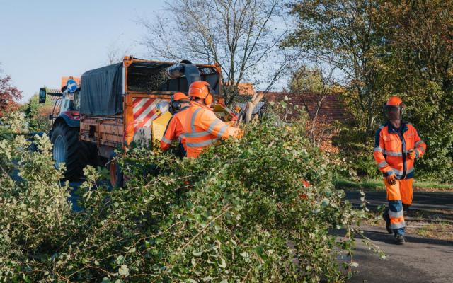 medewerkers van de Wuustwezelse groendienst werken aan het onderhoud van groen langs bermen