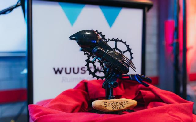 beeldje van Stakke Van Hees dat werd uitgereikt bij de vorige cultuurprijs Suksewiet, eind 2024