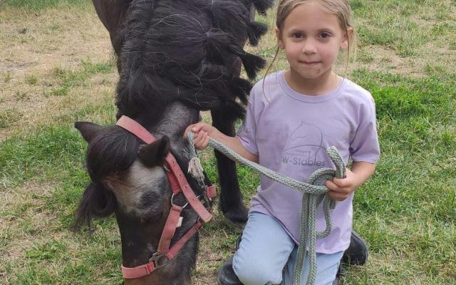 Ponykamp zonder overnachting © W-Stables vzw