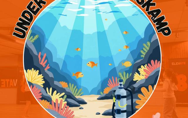 Under The Sea Danskamp © Studio Elevate Under The Sea Danskamp © Studio Elevate