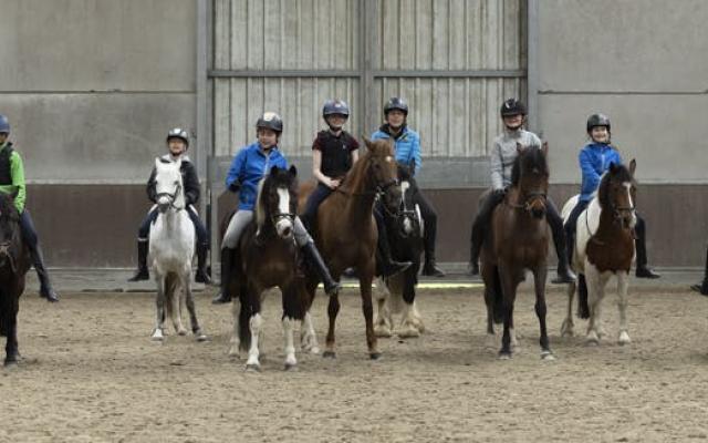 Ponydag 6-16 jaar © Double-U Stables vzw Ponydag 6-16 jaar © Double-U Stables vzw