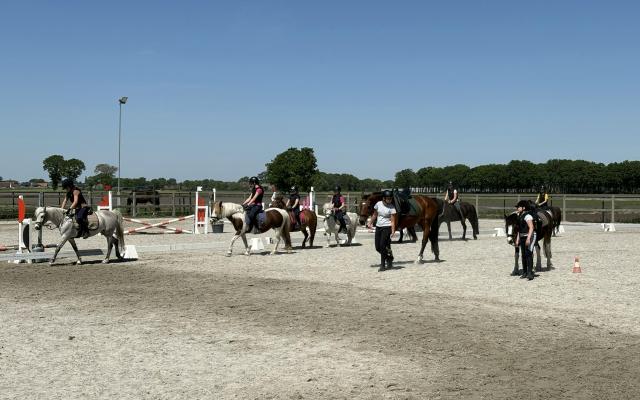 Ponydag 12+ © W-Stables vzw