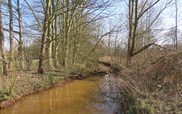 Het Marum - Wandelen in het land van de beek © Natuurpunt Noorderkempen