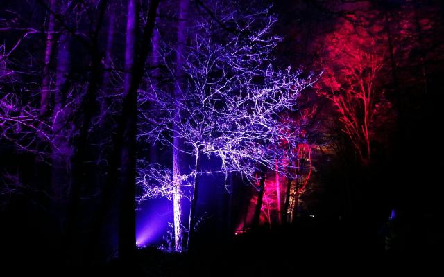 Kerstwandeling i.s.m. Athletes for Hope © Wezel op de foto