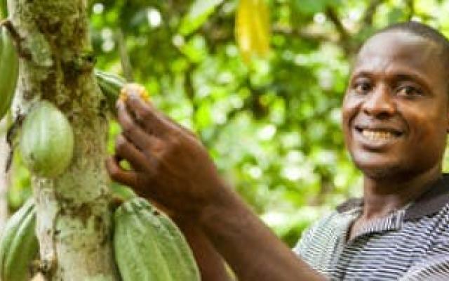 Zoete zonde: Chocoladeproeverij, een (cacao)boon voor Trias © Trias Zoete zonde: Chocoladeproeverij, een (cacao)boon voor Trias © Trias