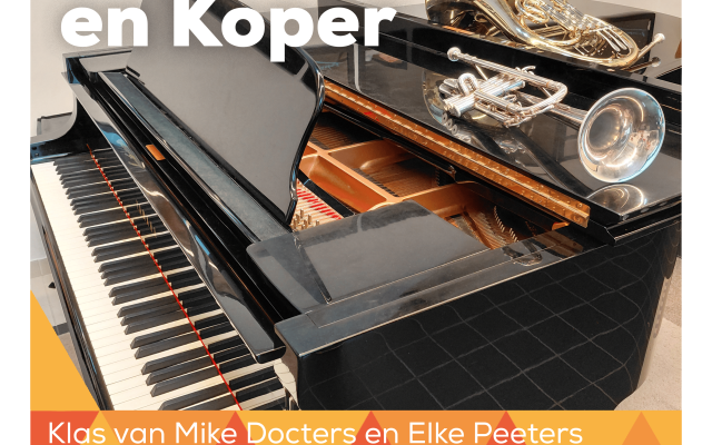 Muziek in de bib - Wuustwezel © Gemeentelijke Academie