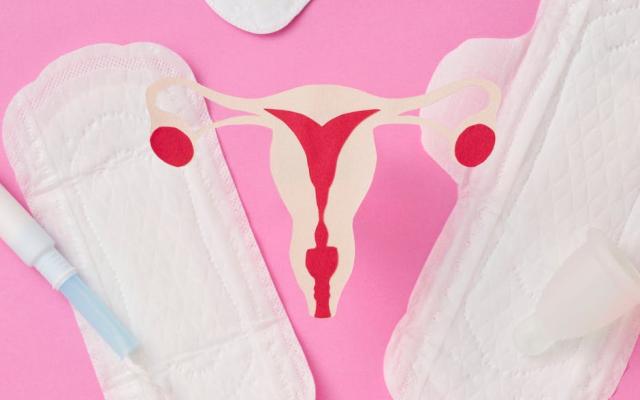 De Cyclusshow © Gemeente Wuustwezel De Cyclusshow © Gemeente Wuustwezel