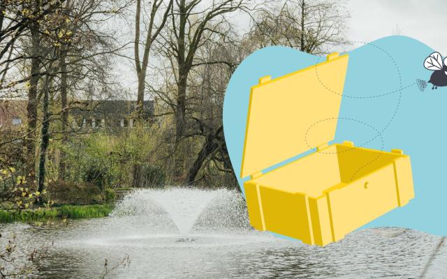 Schatten van Vlieg Fotozoektocht Focus4Art in Wuustwezel © Lokaal bestuur Wuustwezel