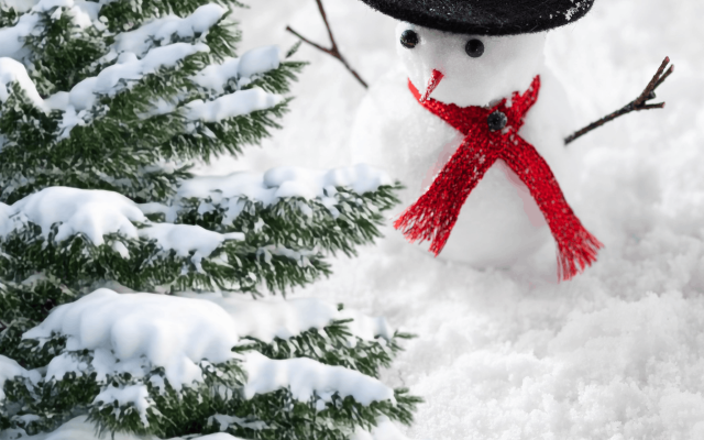 Kerstconcert © Gemeente Wuustwezel